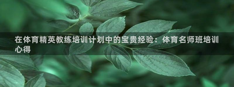 焦点娱乐官网下载苹果版：在体育精英教练培训计划中的宝