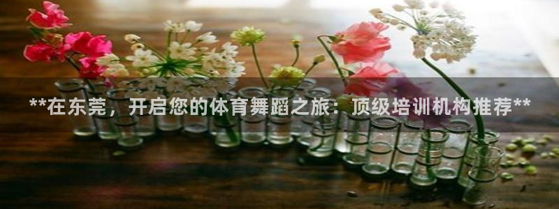 焦点娱乐官方网站首页入口下载